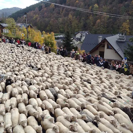 شقة Dolek شتافنيتسه