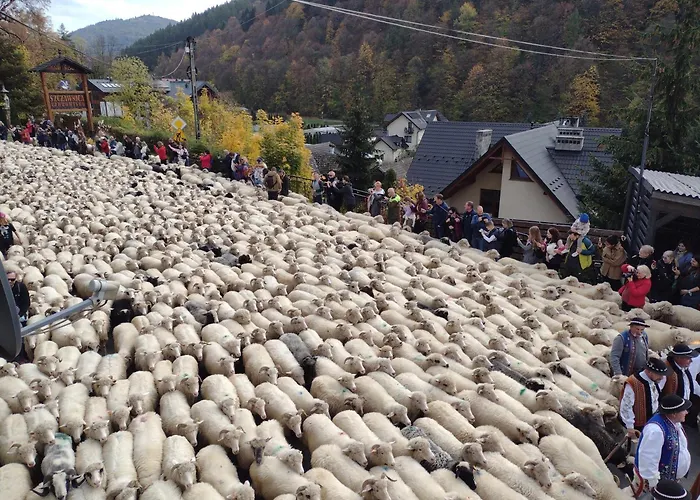 Lejlighed Dolek Szczawnica